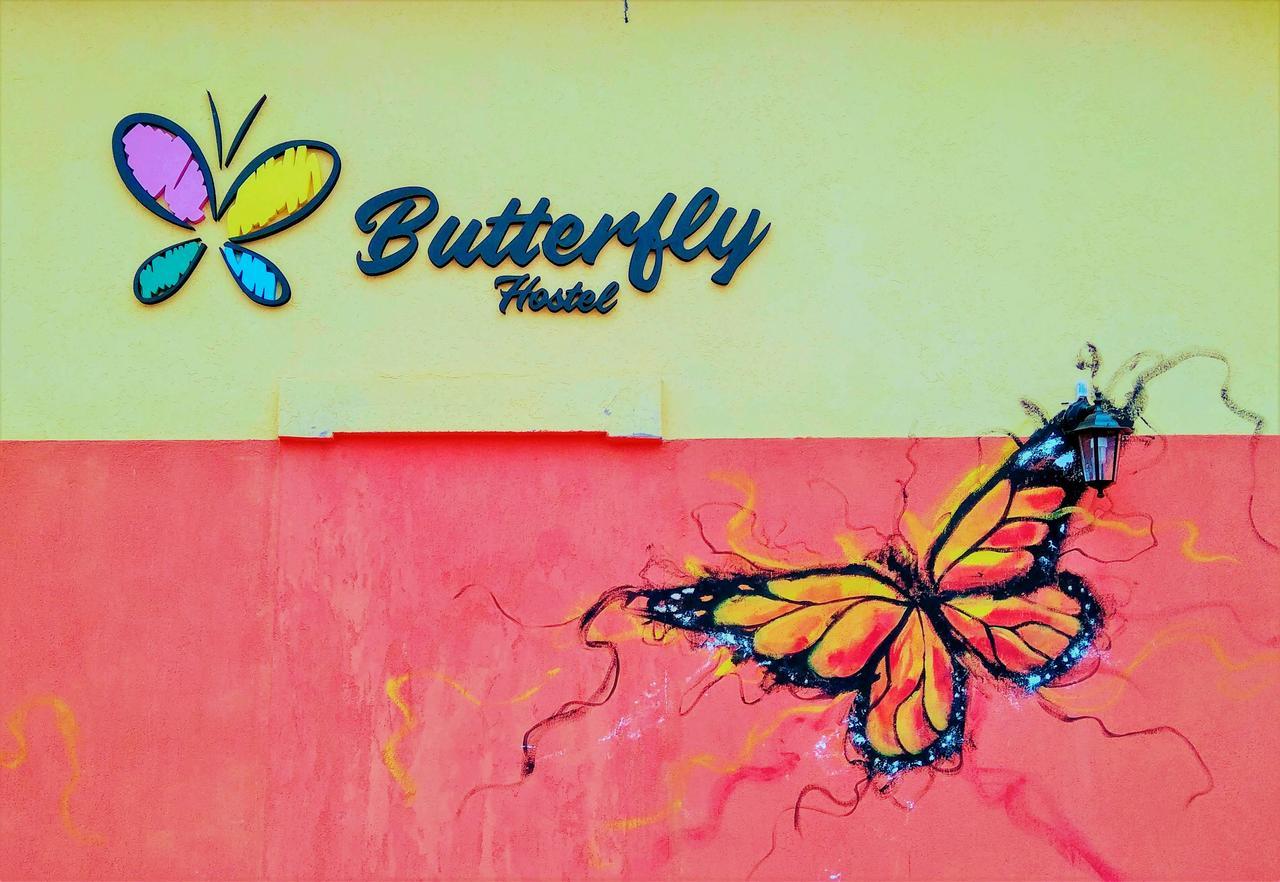 Butterfly Hostel Puerto Iguazú Exteriör bild