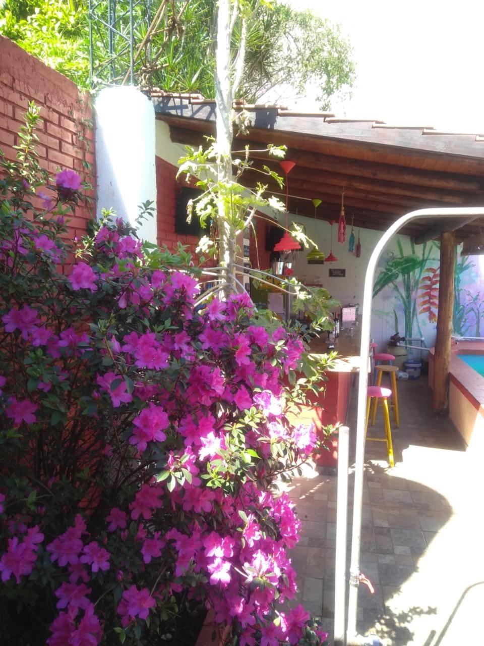 Butterfly Hostel Puerto Iguazú Exteriör bild